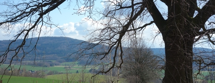 Aussicht vom Försterblick zum Valtenberg - Abstieg vom Hohen Hahn