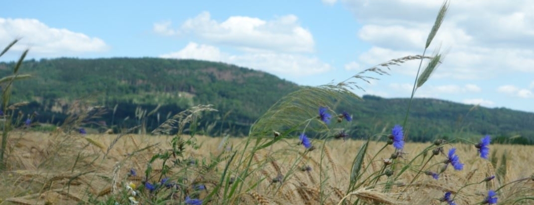 Blick auf den Czorneboh