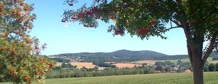 Blick von der Ostbank in Sonnenberg zum Bieleboh